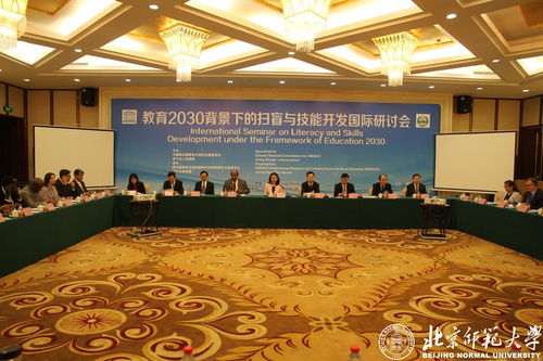 教育2030背景下的掃盲與技能開發國際研討會 技術開發的創新路徑